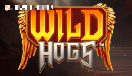 Wild Hogs